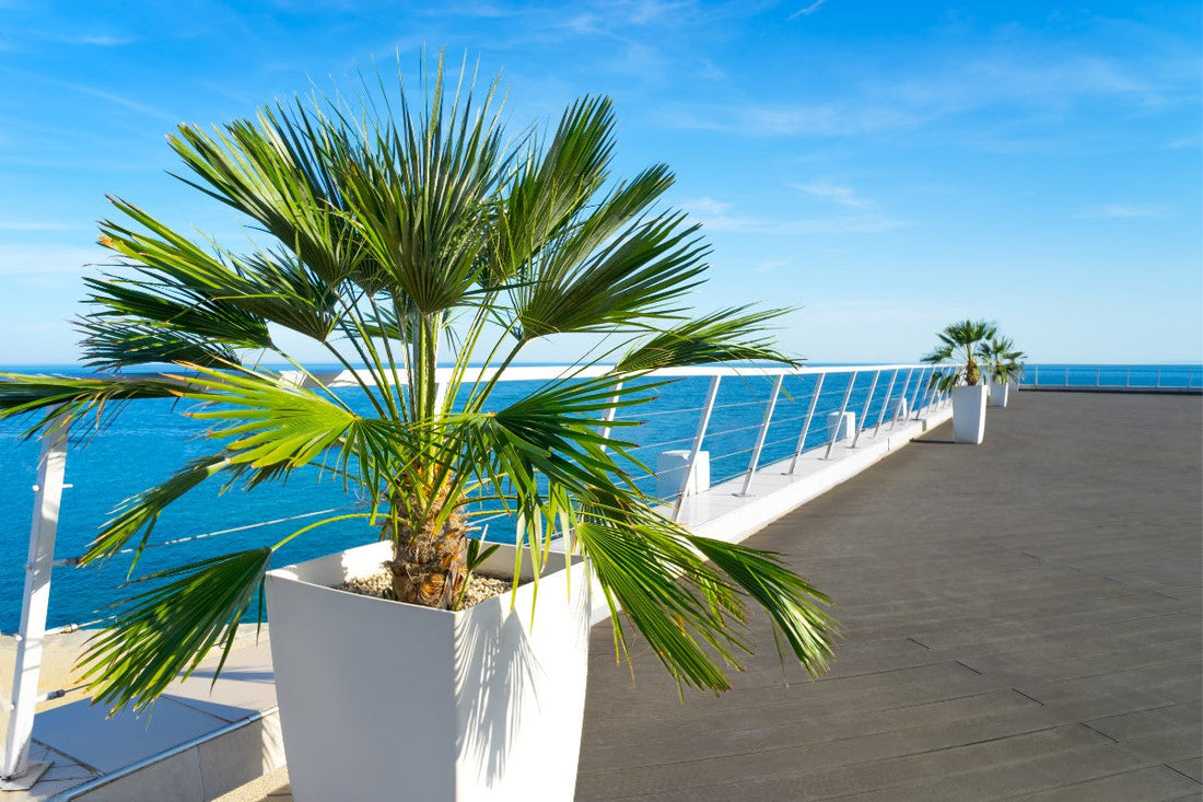 Dekoratif ve Kullanışlı Büyük Saksı Modelleri